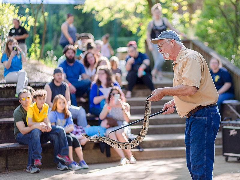 Terry Vandeventer showing snakes to zoo patrons